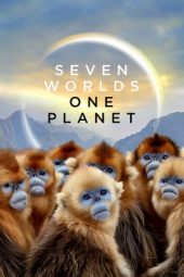 Nonton Seven Worlds One Planet (2019) Subtitle Indonesia