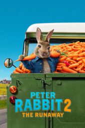Nonton Peter Rabbit 2: The Runaway (2021) Subtitle Indonesia
